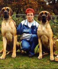 Karin Mehrtens mit Jaran v. Machurius (links) + Jala v. Machurius (rechts) Karin Mehrtens mit Jaran v. Machurius (links) + Jala v. Machurius (rechts)